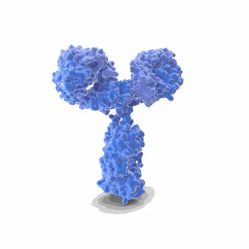 [GEN-ANTI-11] Gentaur ATTO 594 Antibody