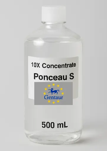 10X Concentrat Ponceau S Protein Färgninglösning 